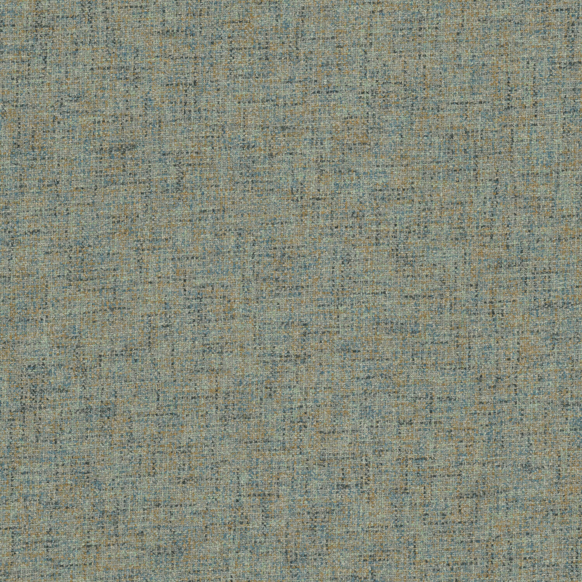 NOVICE 1 PEACOCK