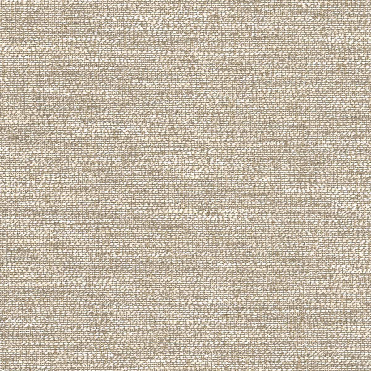 OBSESSION 3 JUTE