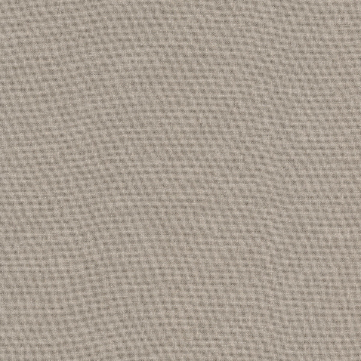 OLLA 3 TAUPE