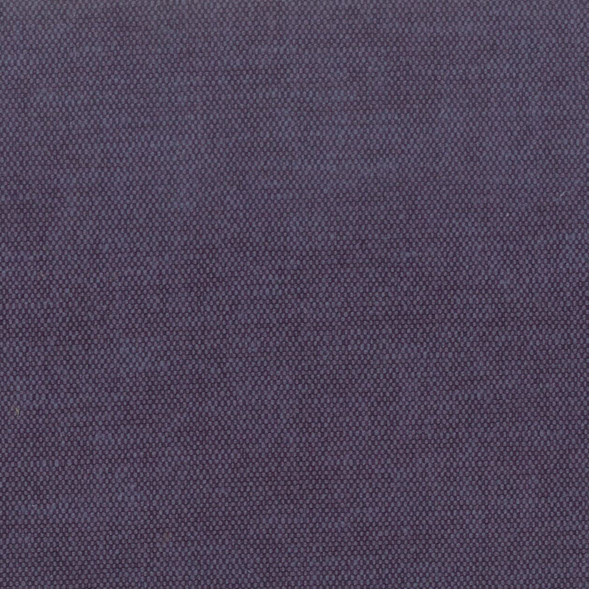 ORWIN 22 GRAPE