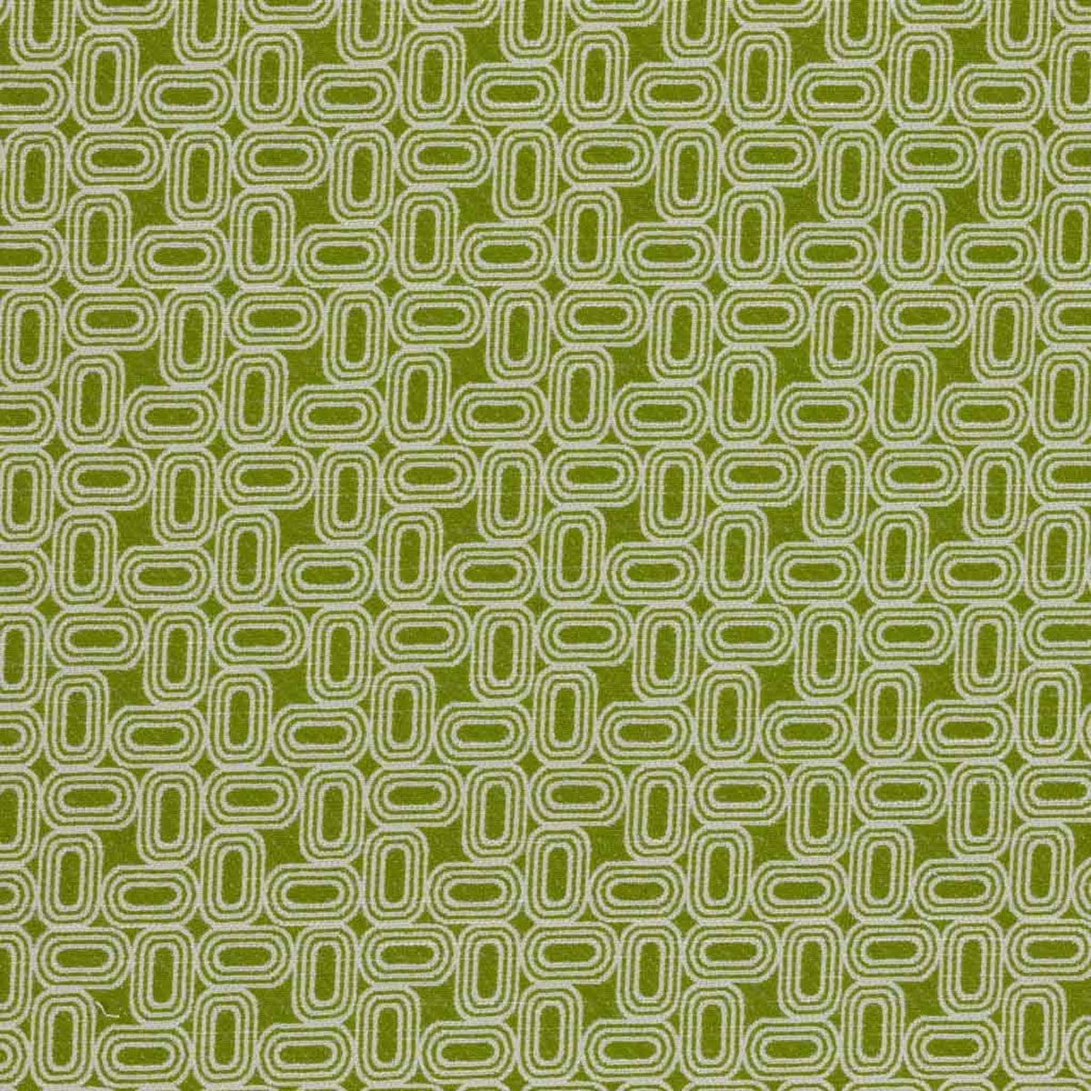 OVATION / GRASS