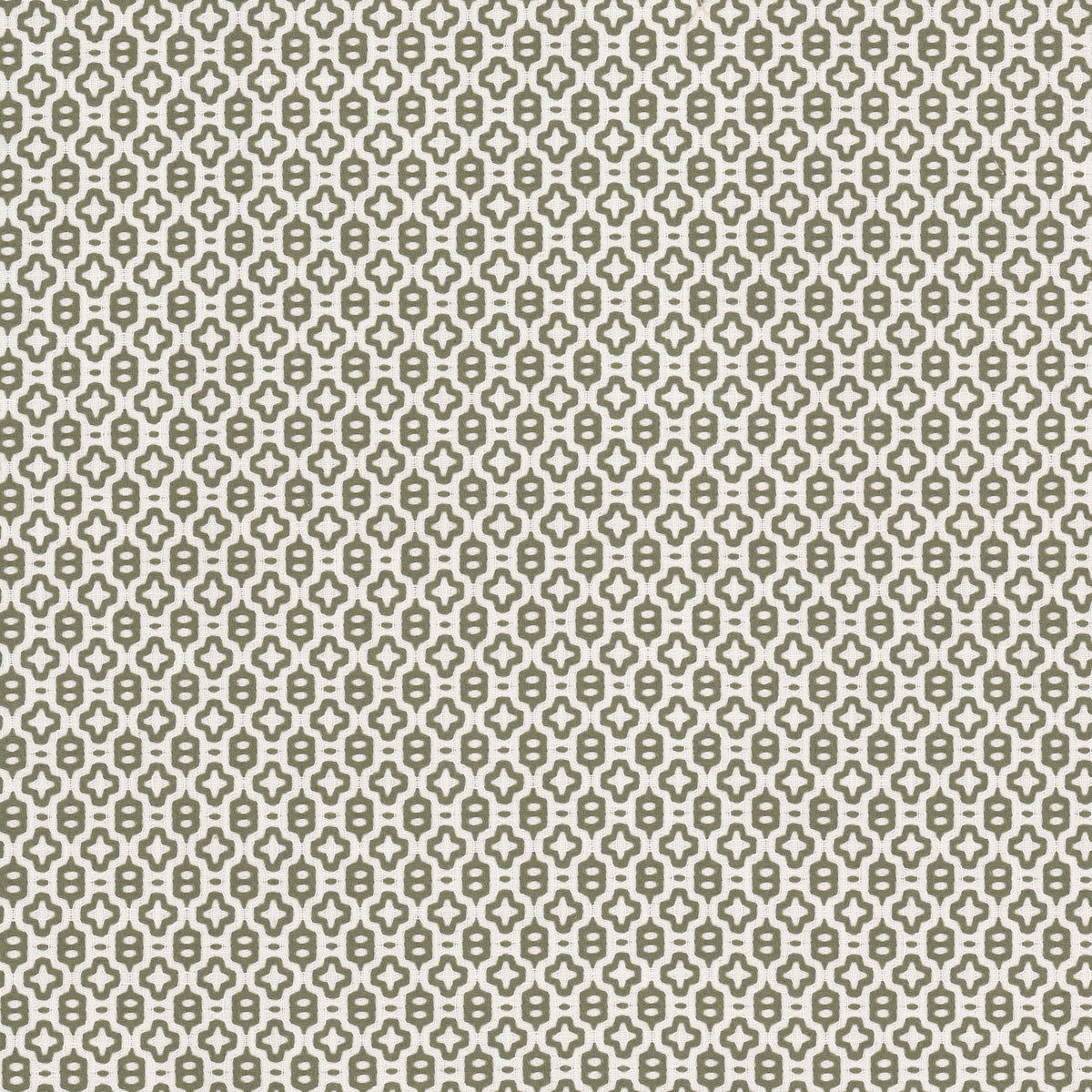 POLKA 2 OLIVE