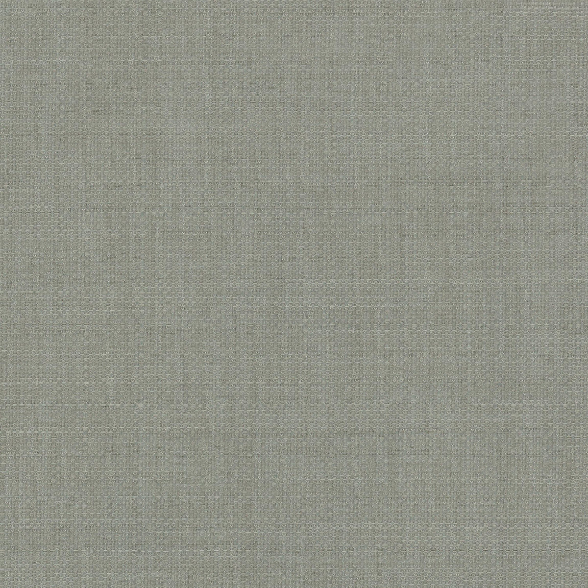 POPILLIA 2 GUNMETAL