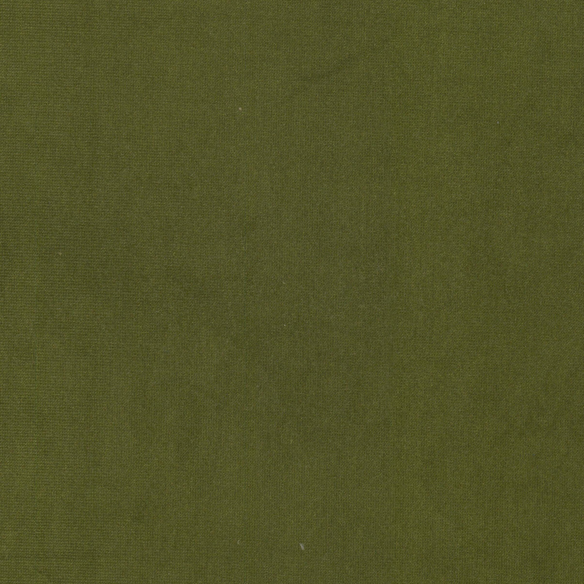 QUEEN 10 OLIVE