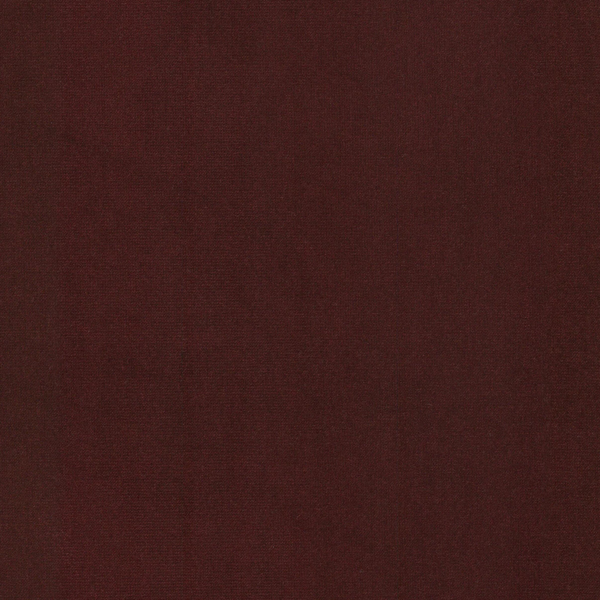 QUEEN 4 WINE