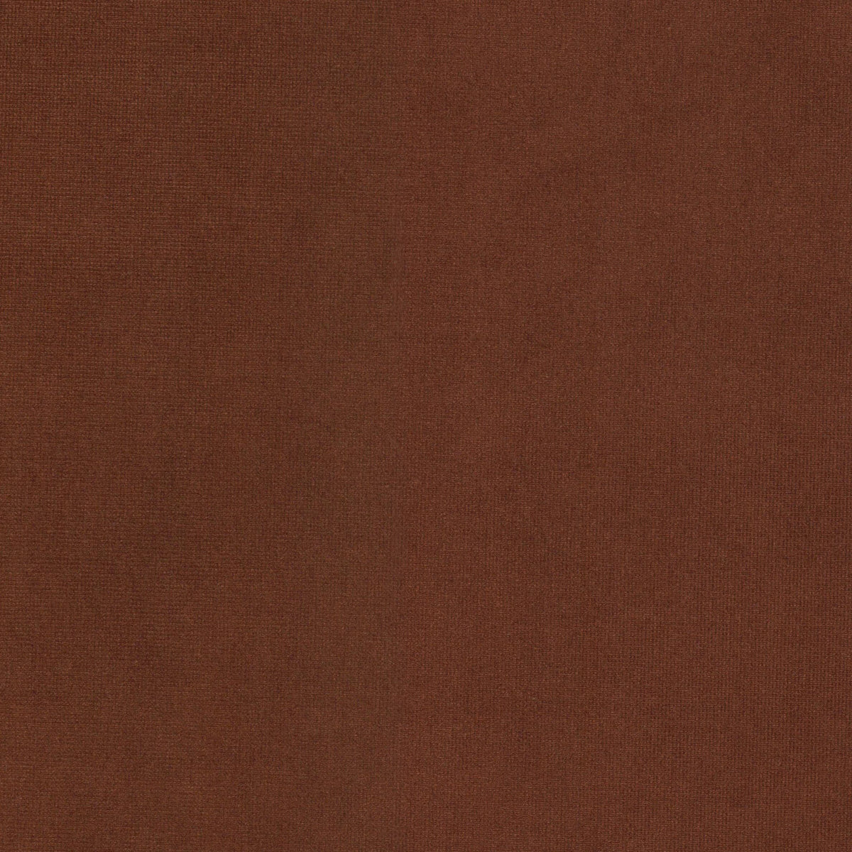 QUEEN 6 TERRACOTTA