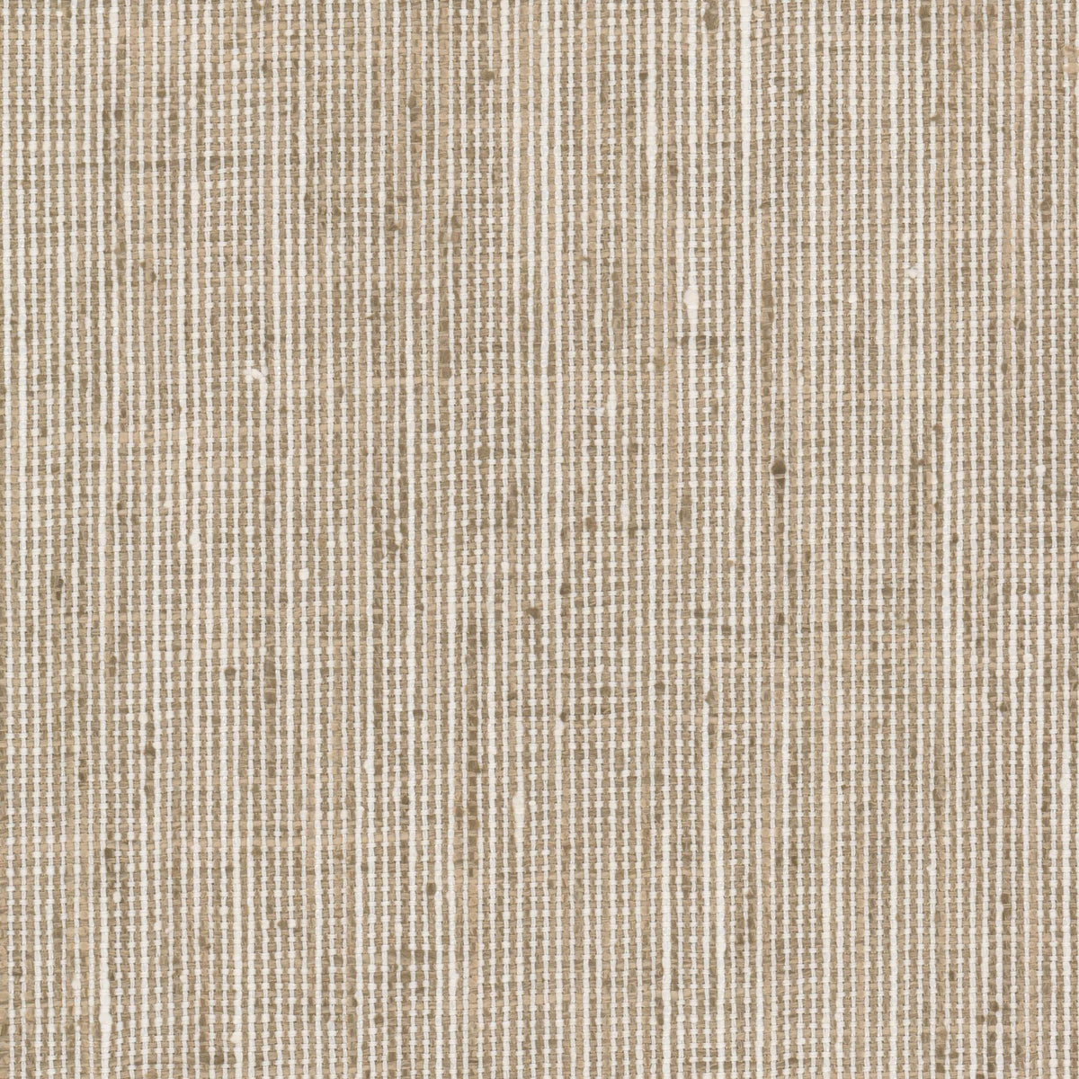 REMBRANDT 7 KHAKI