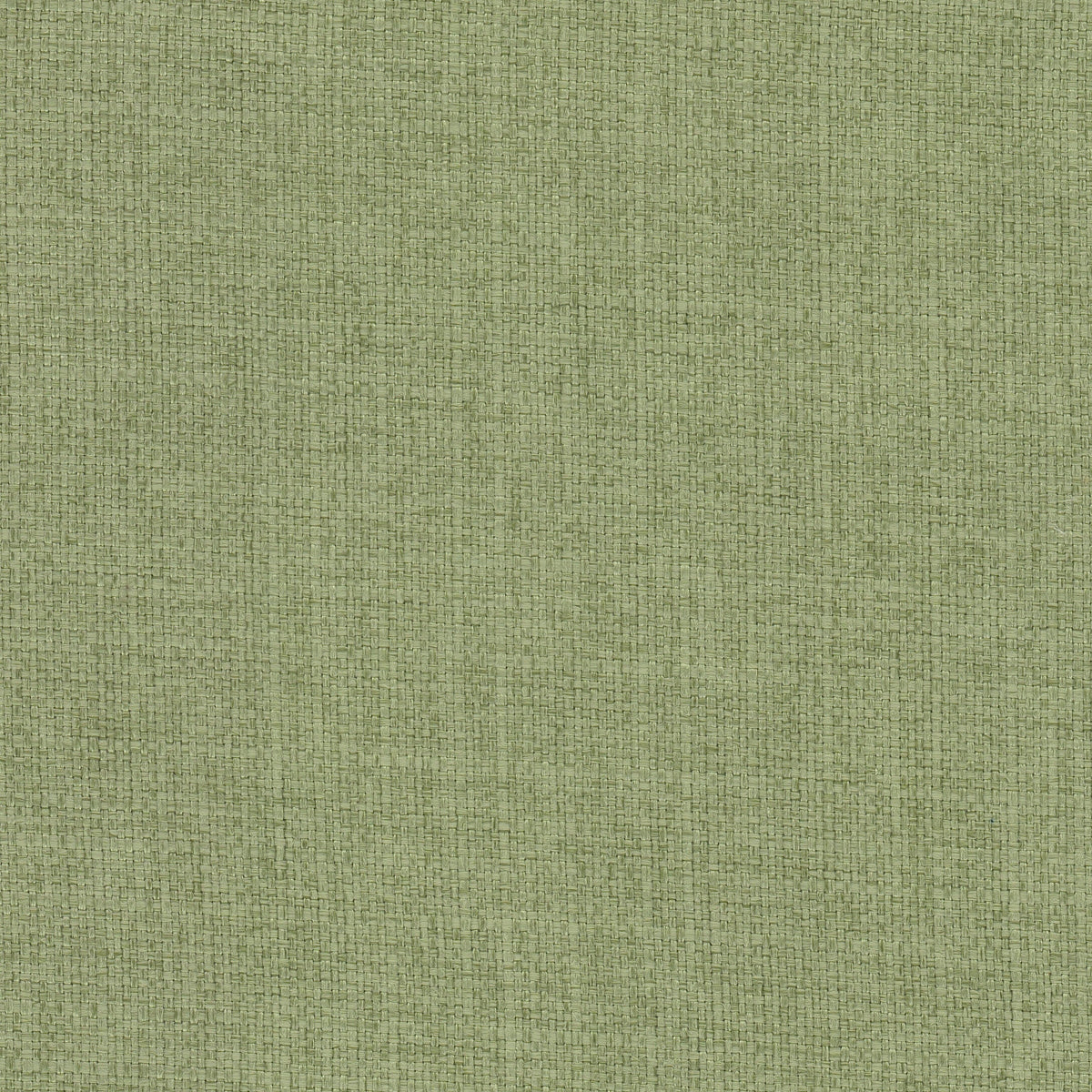 STOUT RIVALRY 1 SAGE Fabric | Atlanta Fabrics