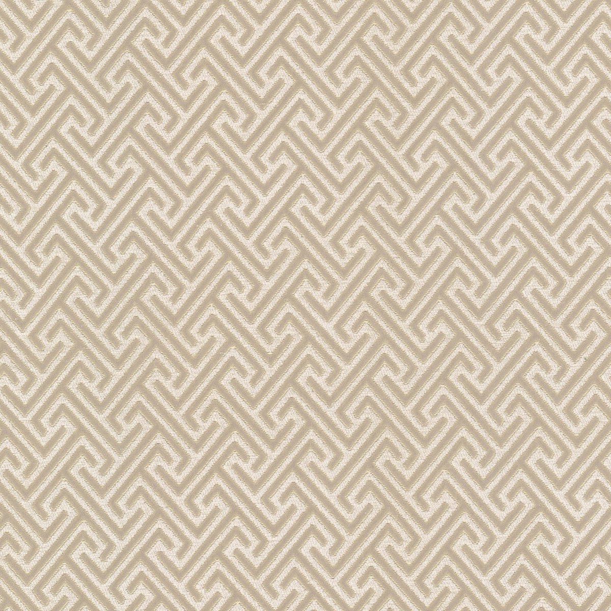 ROXPOINT 2 CHAMOIS