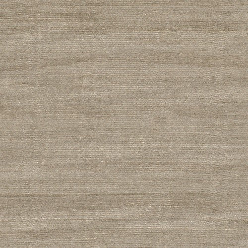 Raffia Focus