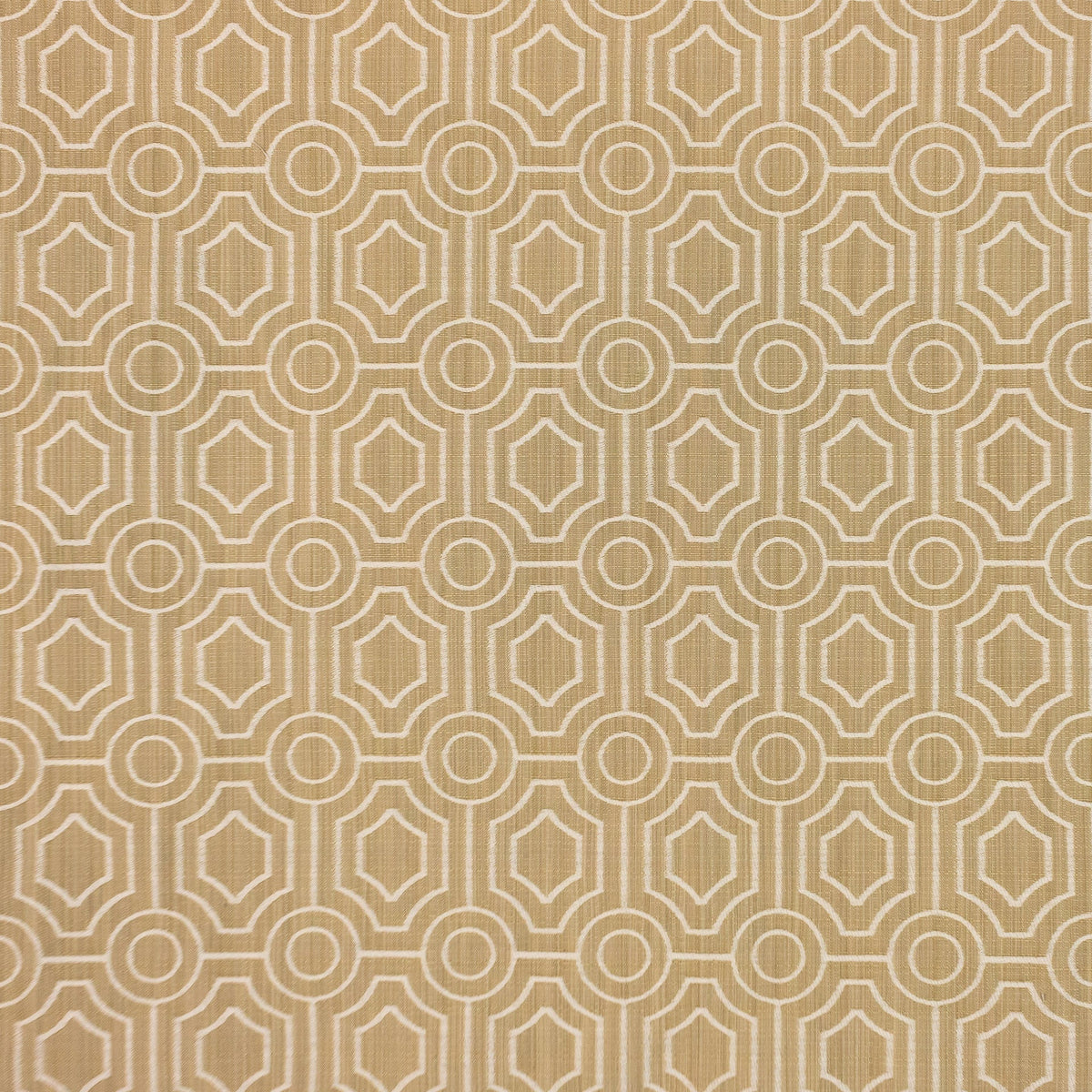 RM Coco RONDELLE - BIRCH Fabric | Atlanta Fabrics