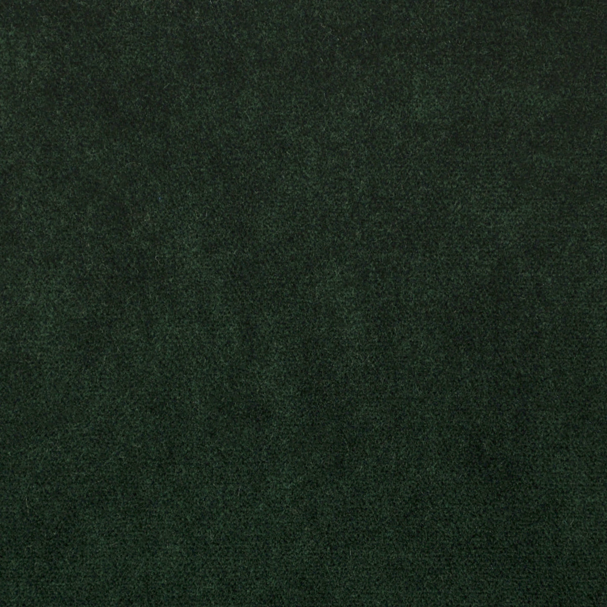 Greenhouse S1060 Fabric | Atlanta Fabrics