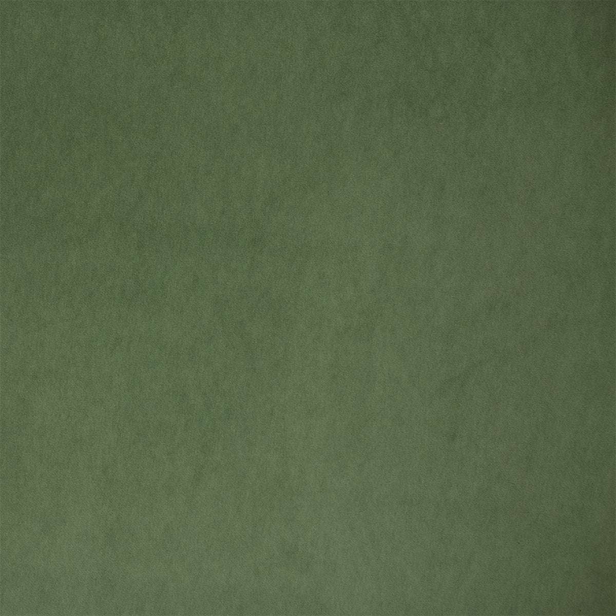S1061