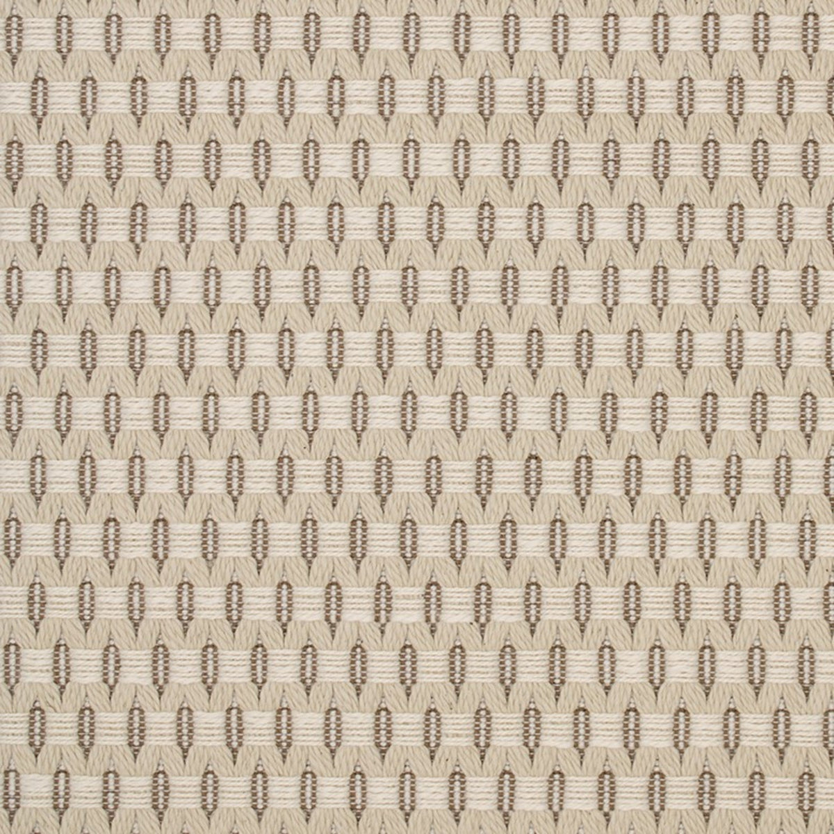 Greenhouse S5563  | Atlanta Fabrics