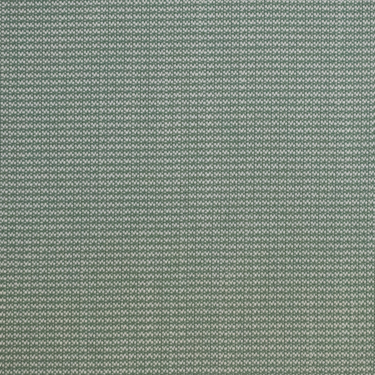 Greenhouse S5689 Fabric | Atlanta Fabrics