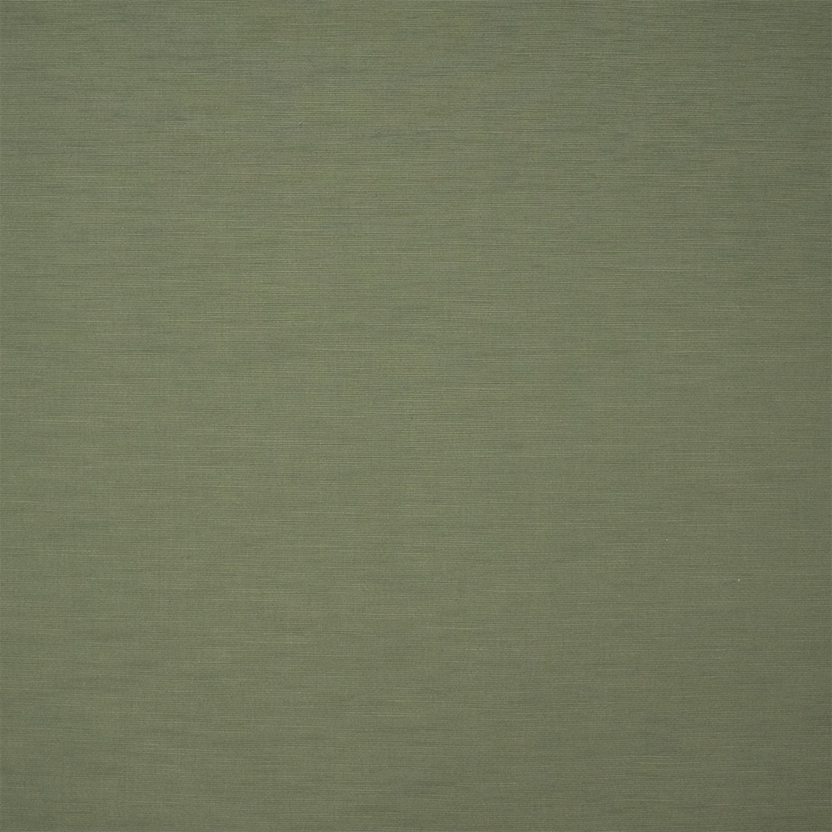 S7172 Fern