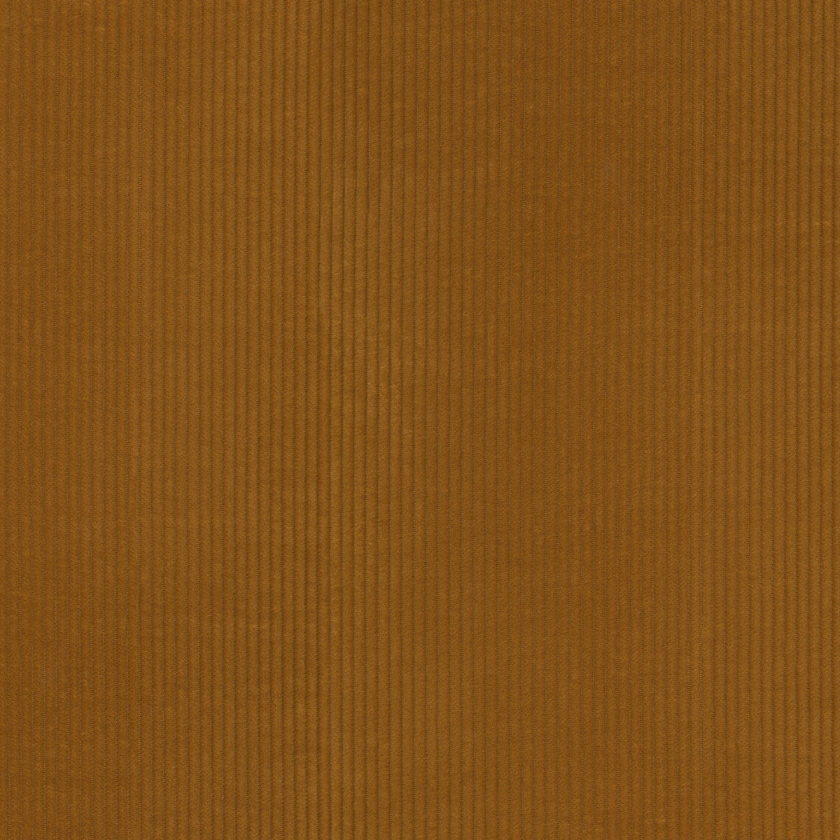 Greenhouse S7193 Honey  | Atlanta Fabrics