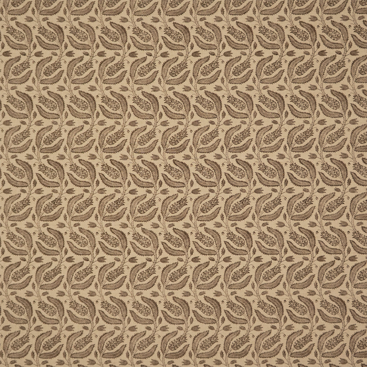 S7397 Clove