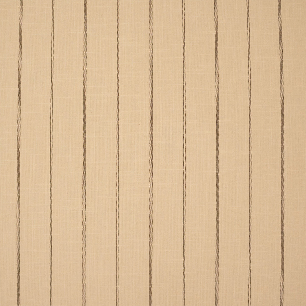 Anna Elisabeth S7430 Charcoal Fabric | Atlanta Fabrics