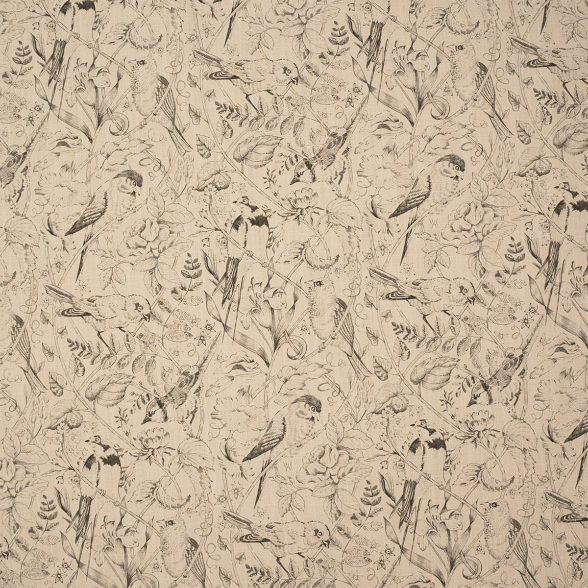S7434 Gris Cendre