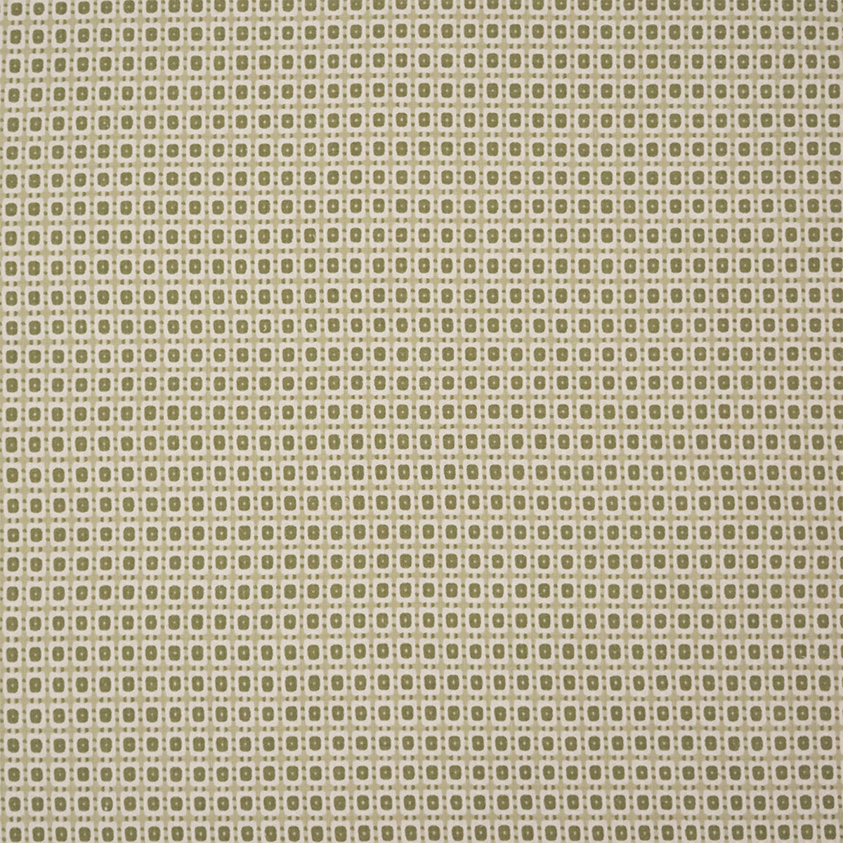 S7444 Fennel Seed
