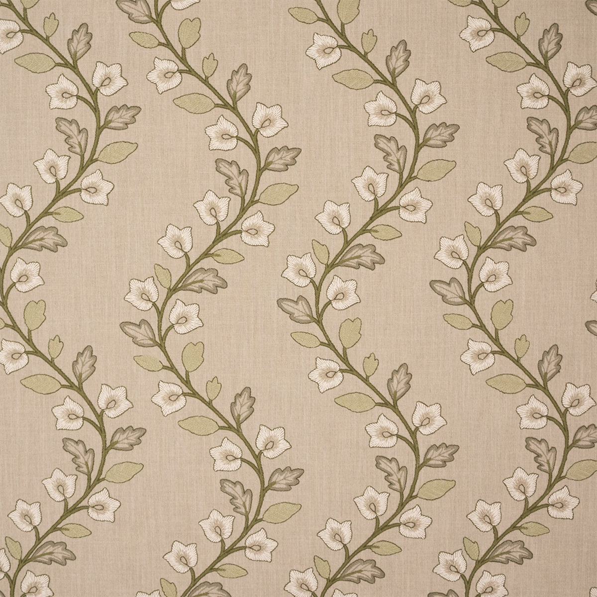 S7445 Ivy