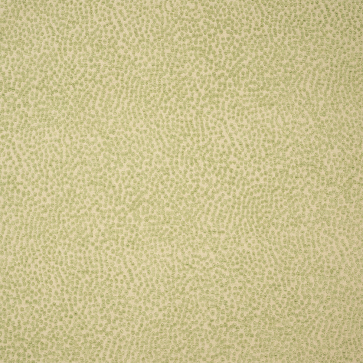 S7453 Meadow