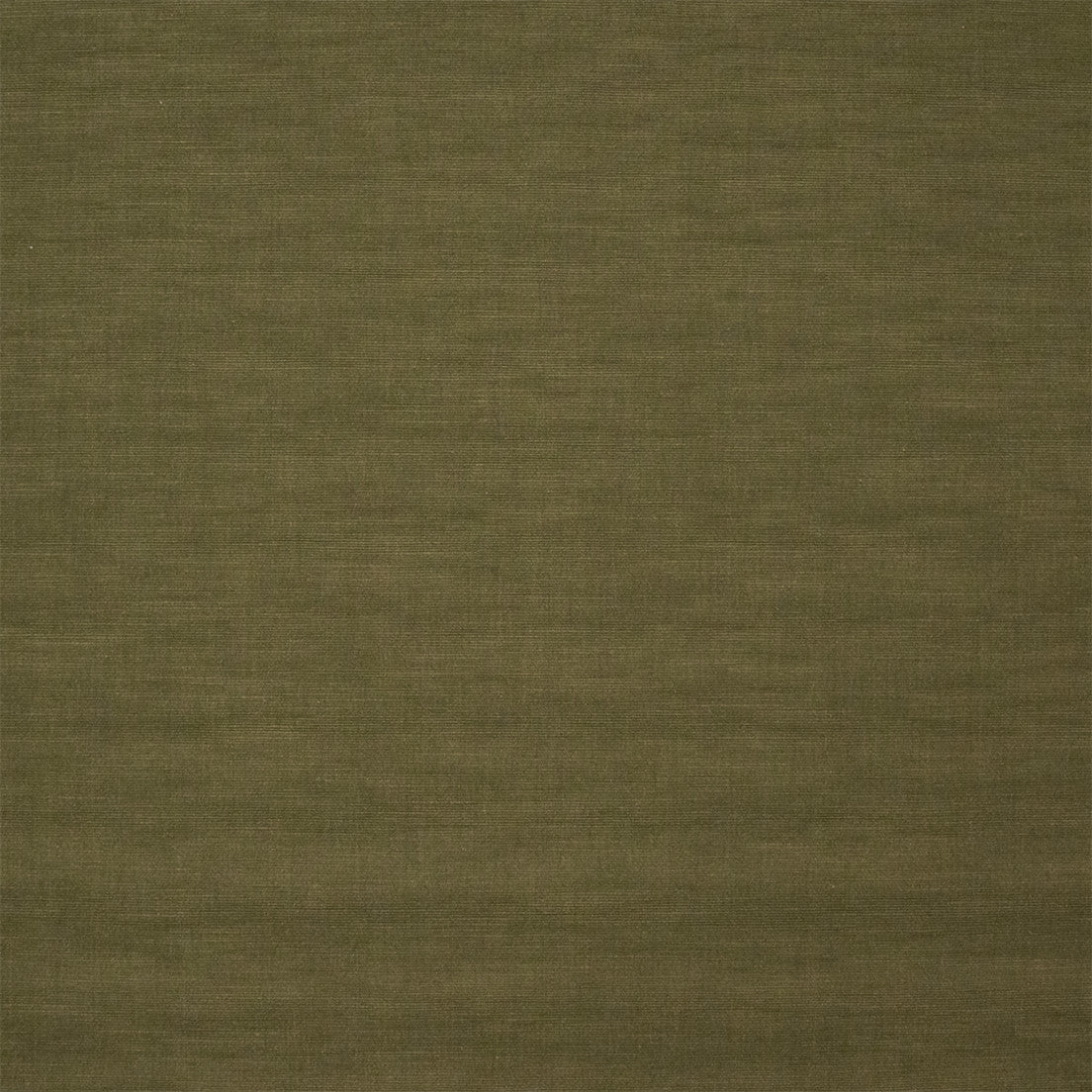 S7467 Pesto