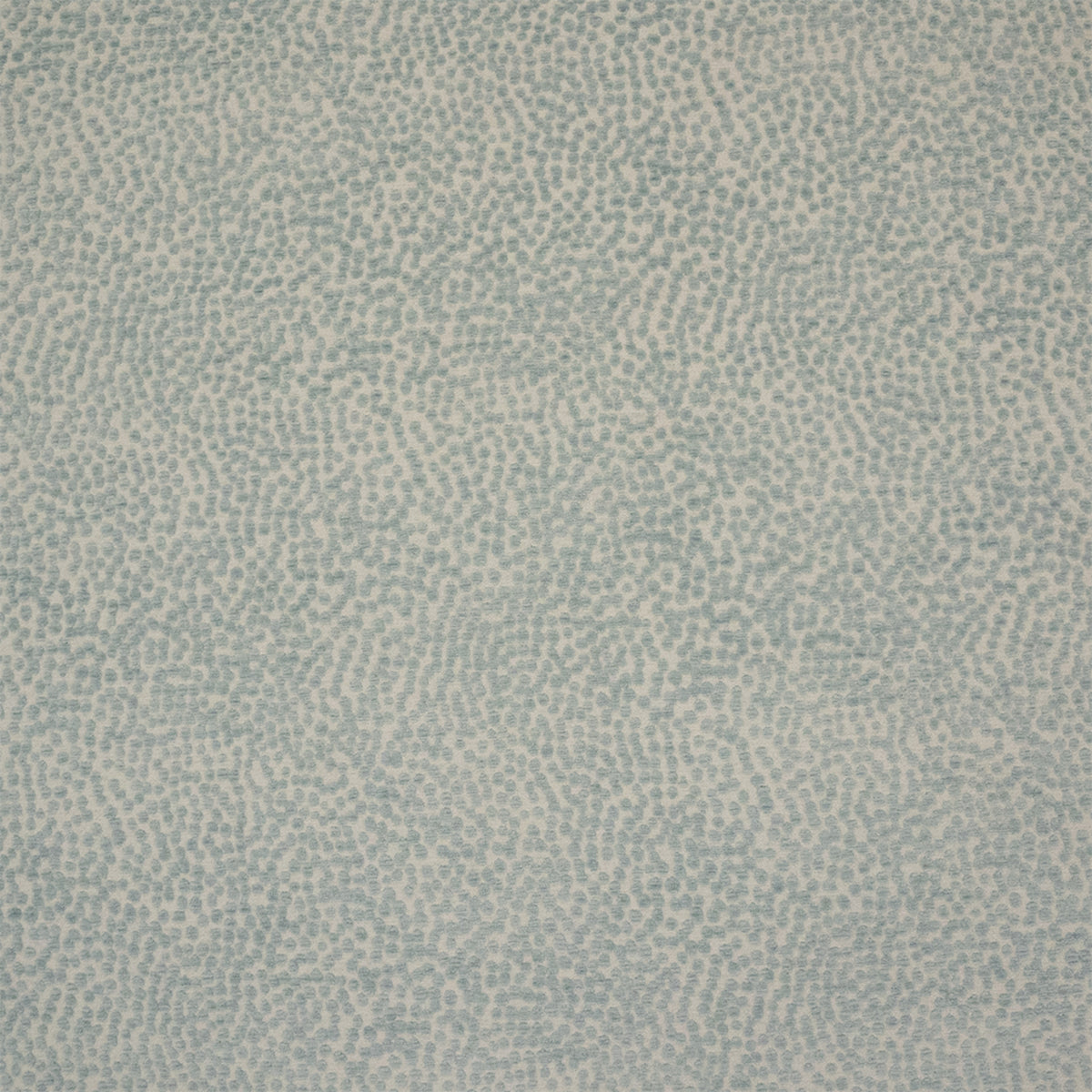 S7554 Powder Bleu