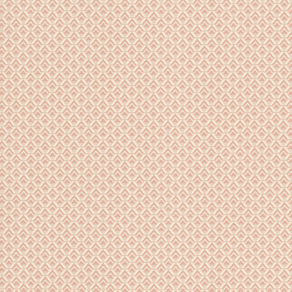 SHARON 1 BLUSH