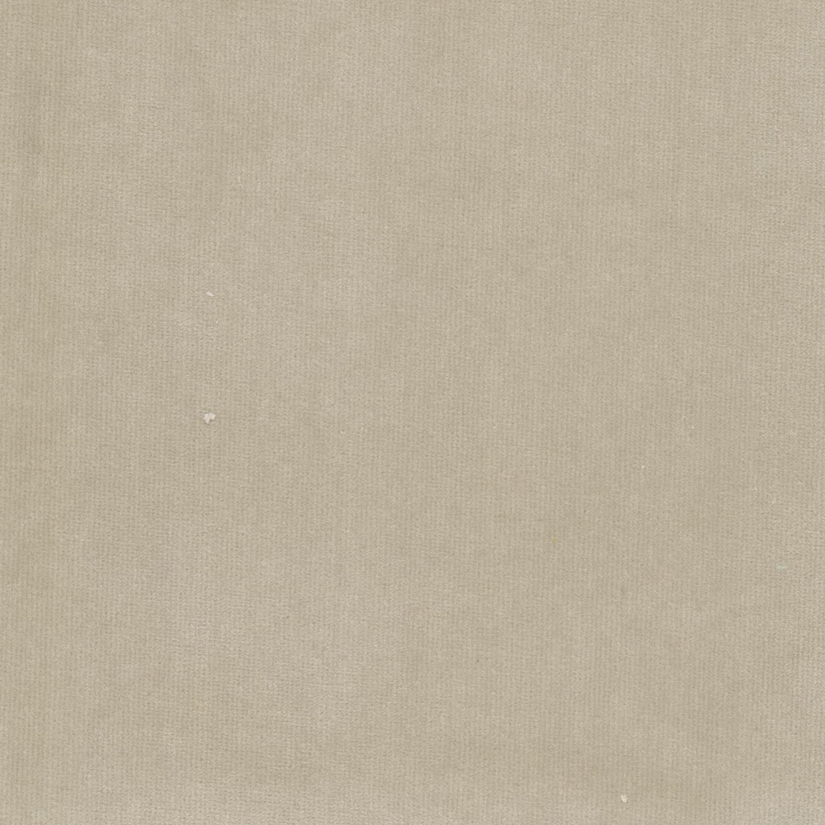 SPOCK 8 BIRCH