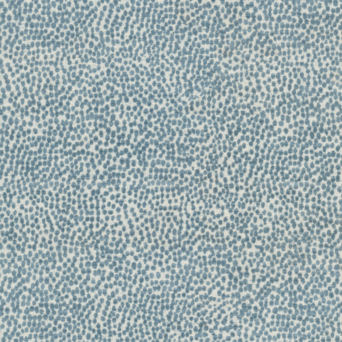 SPOTSWOOD 1 CHAMBRAY