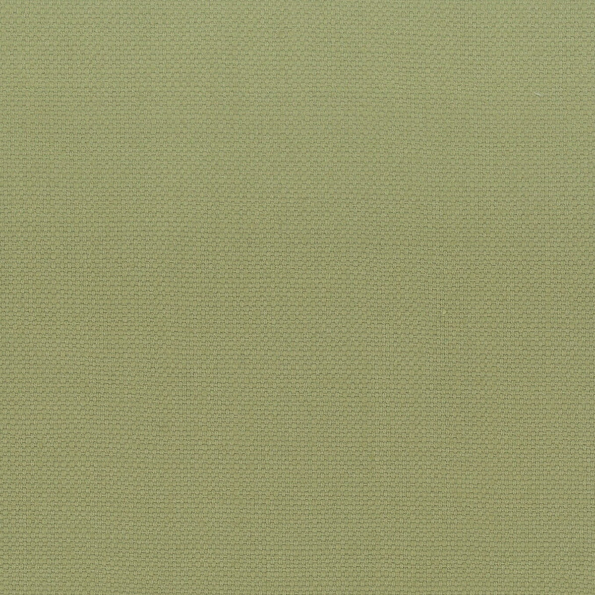 STANFORD 1 PISTACHIO