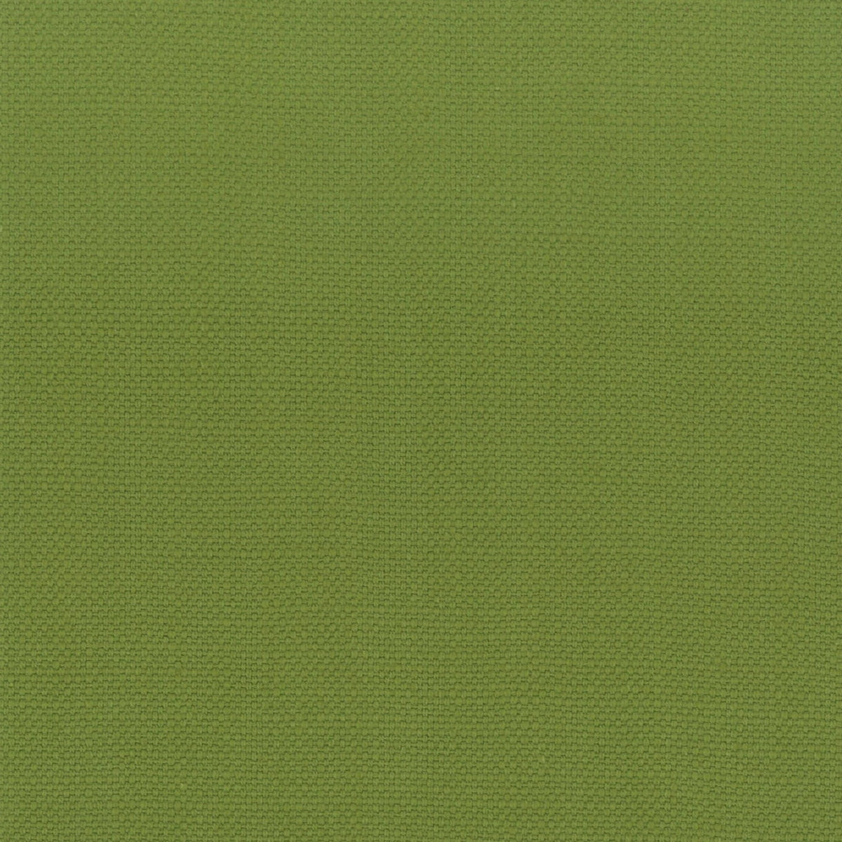 STANFORD 14 LIME