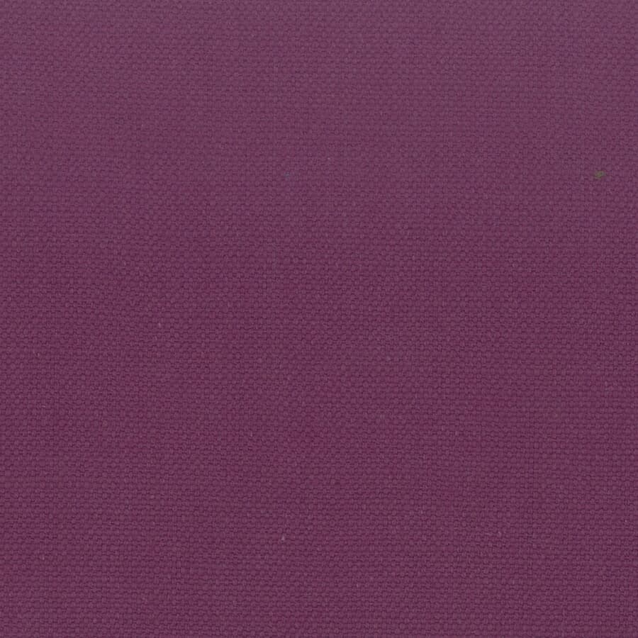 STANFORD 20 VIOLET