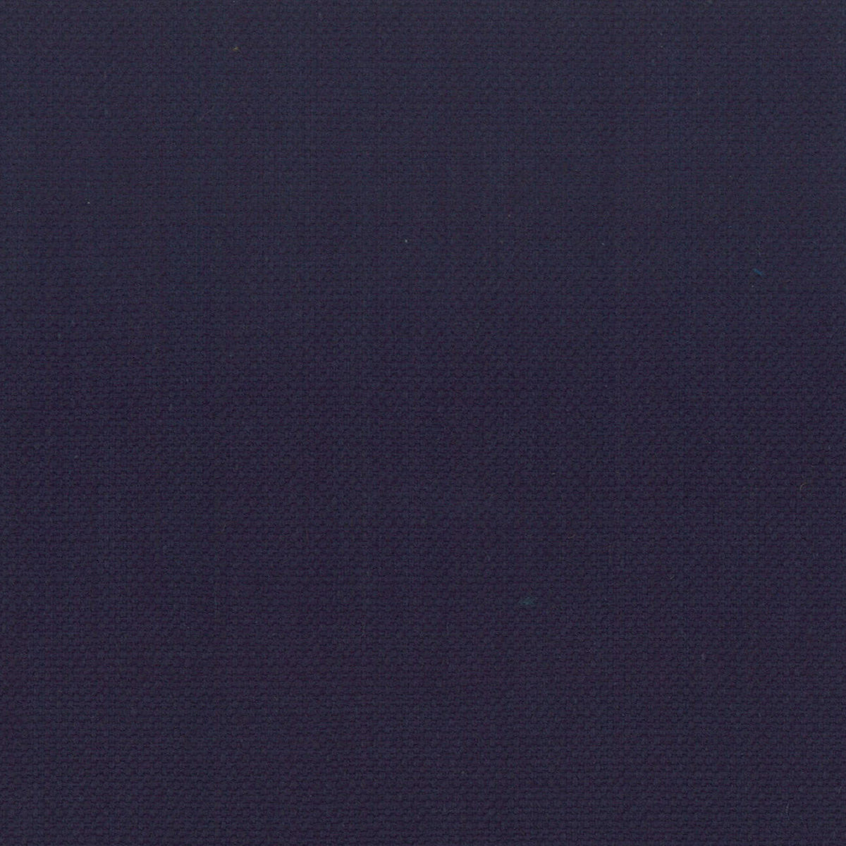 STANFORD 31 INDIGO