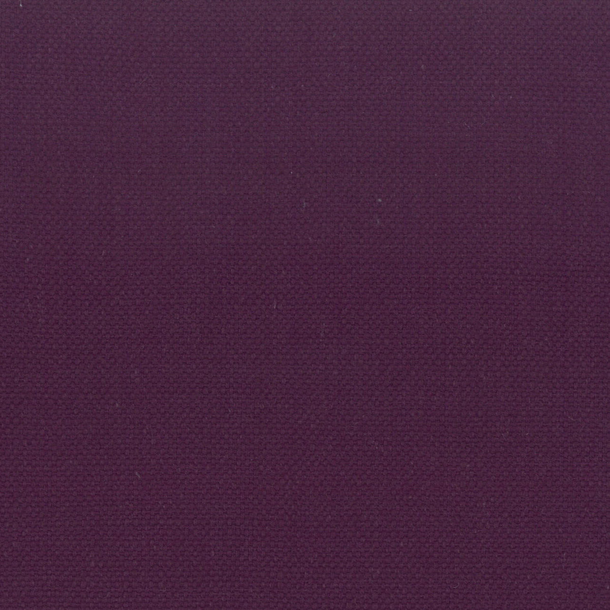 STANFORD 37 AMETHYST