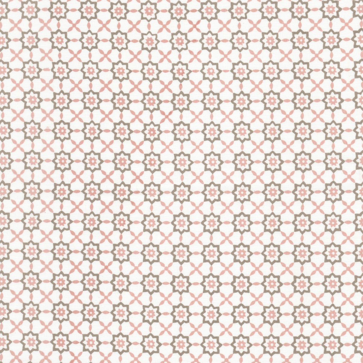 STELLA 1 BLUSH