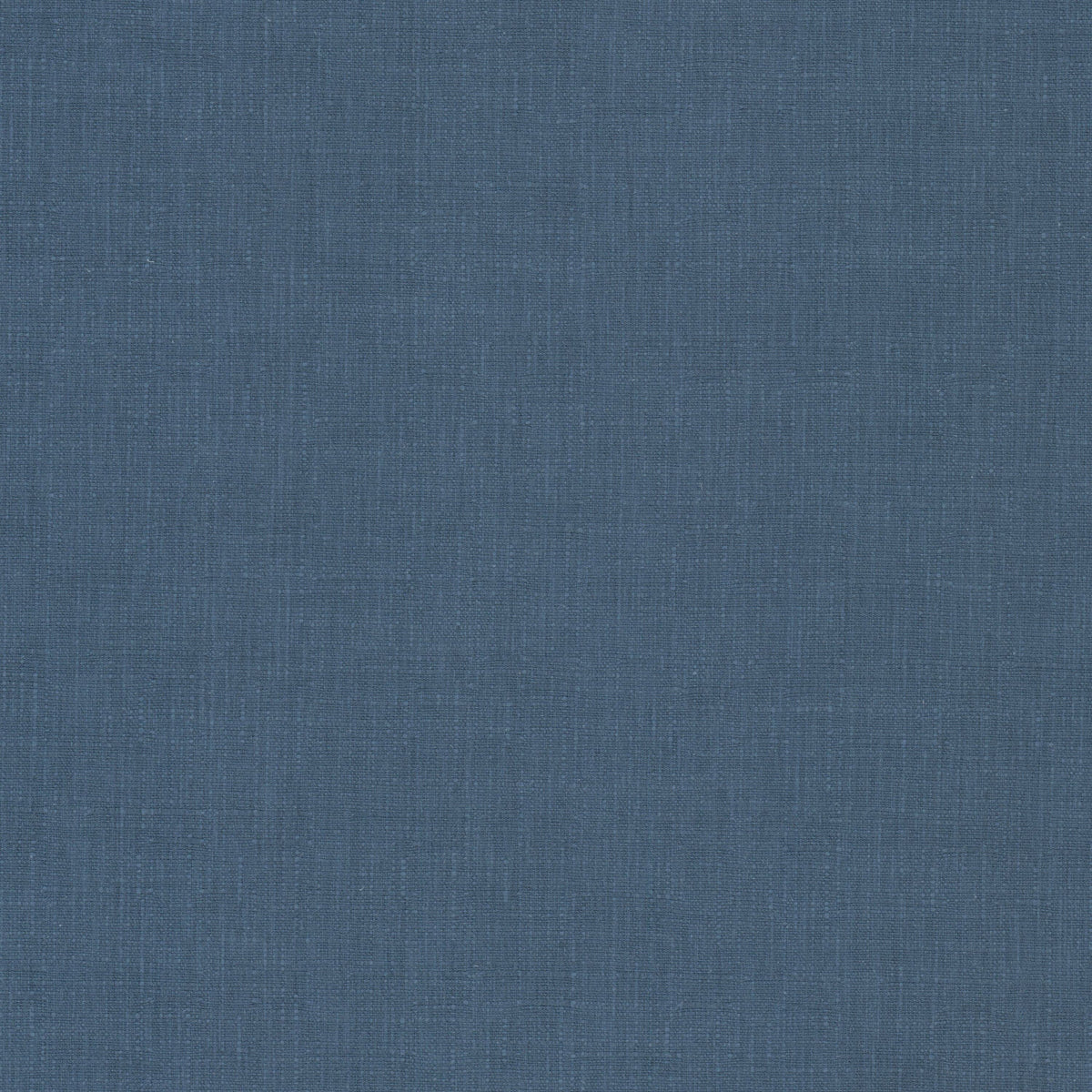 STEPHEN 1 BLUEBERRY