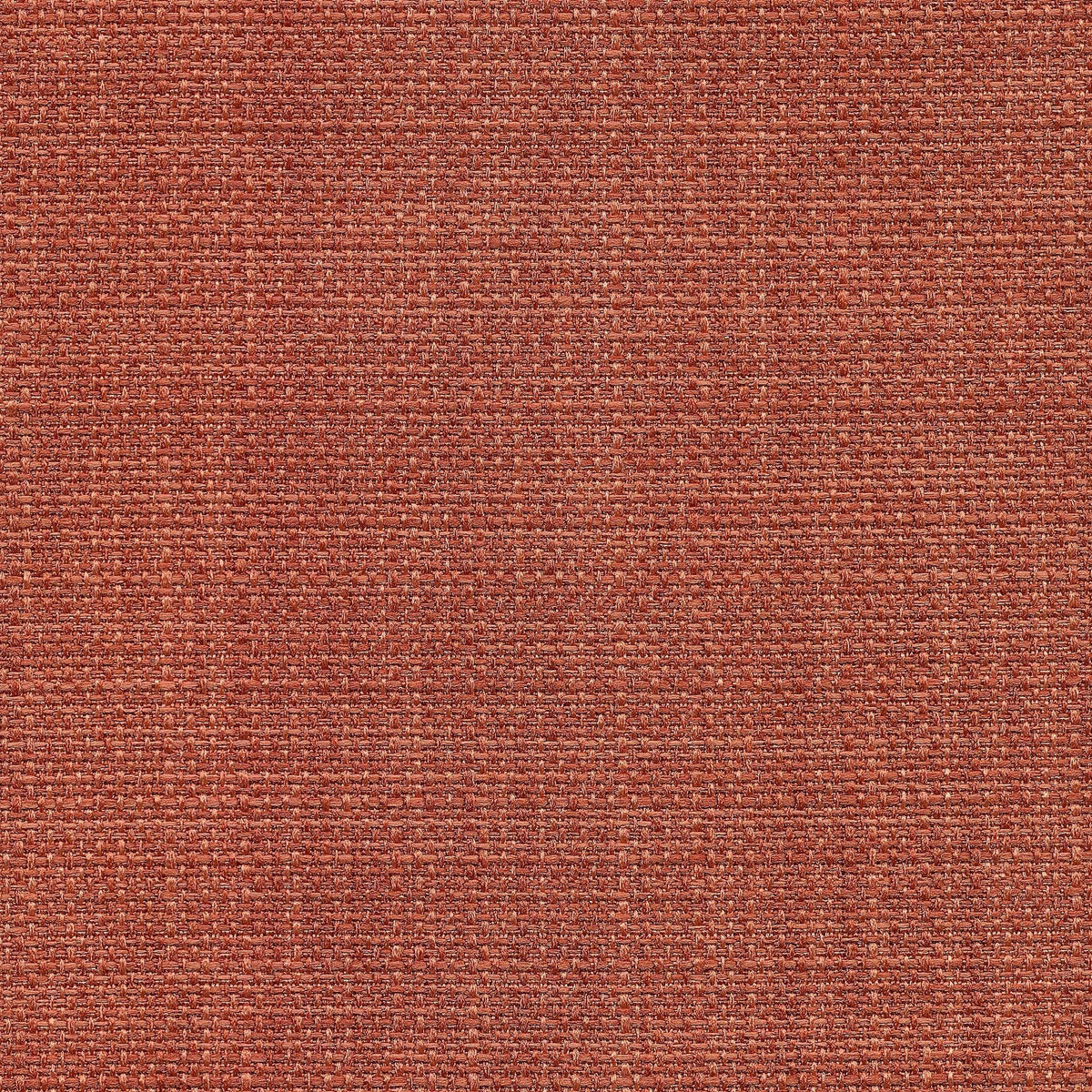 Saint Tropez / Cameo