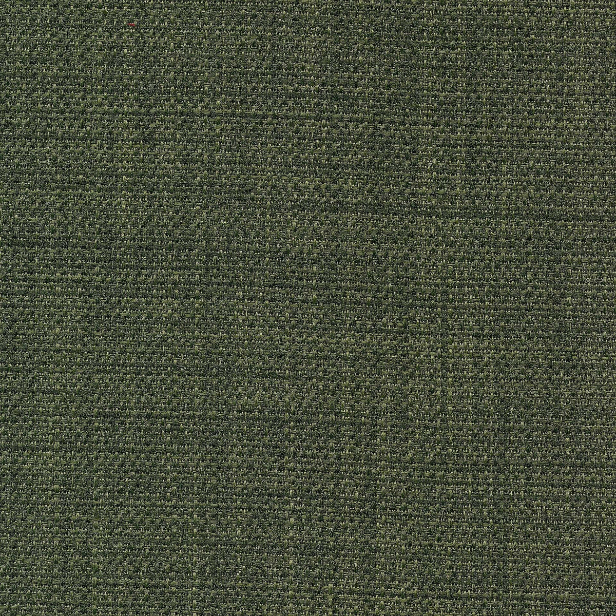 Saint Tropez / Cilantro