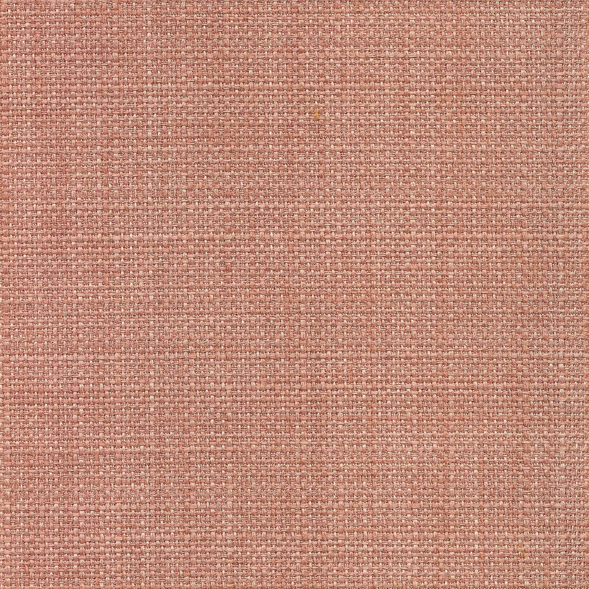 Saint Tropez / Conch