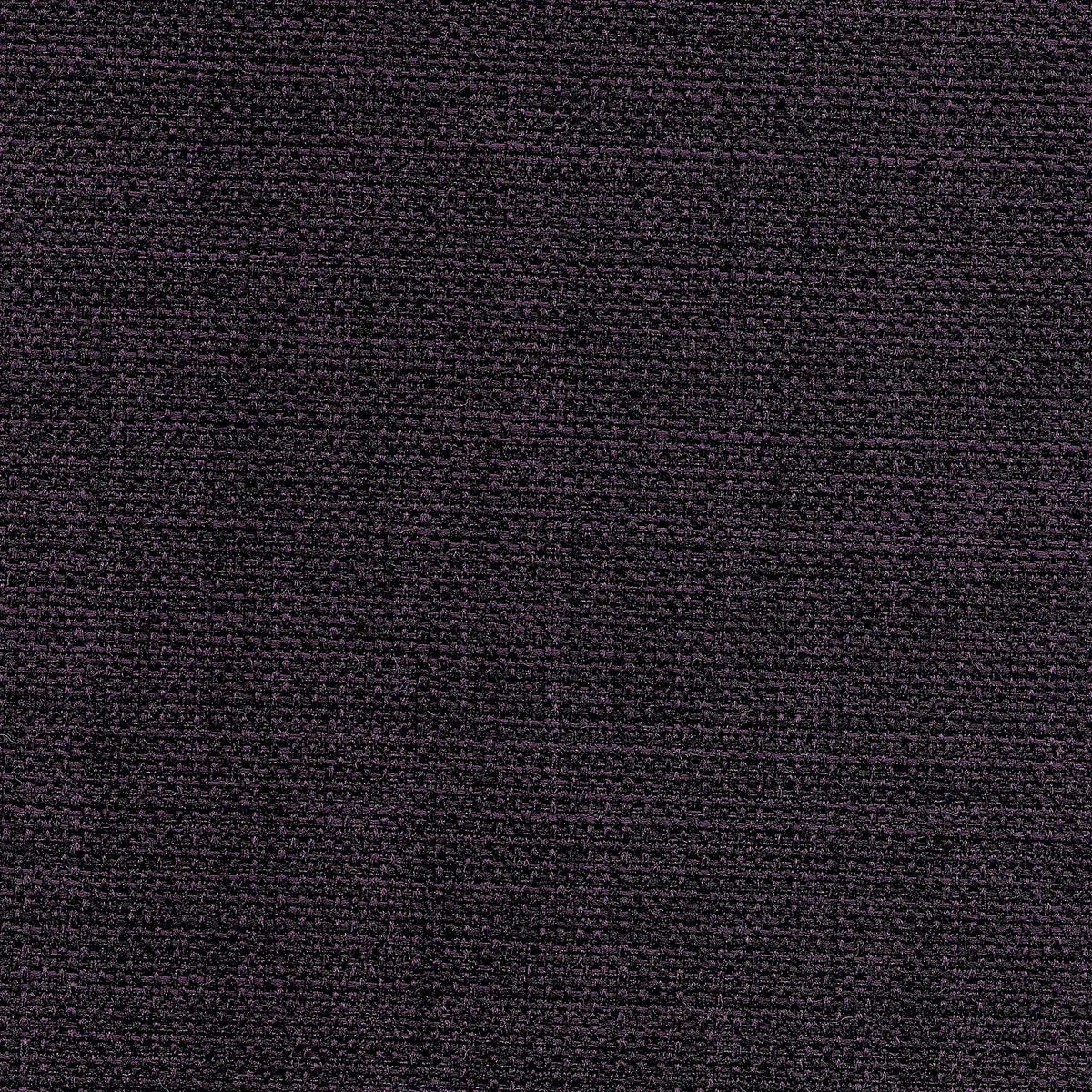 Saint Tropez / Eggplant