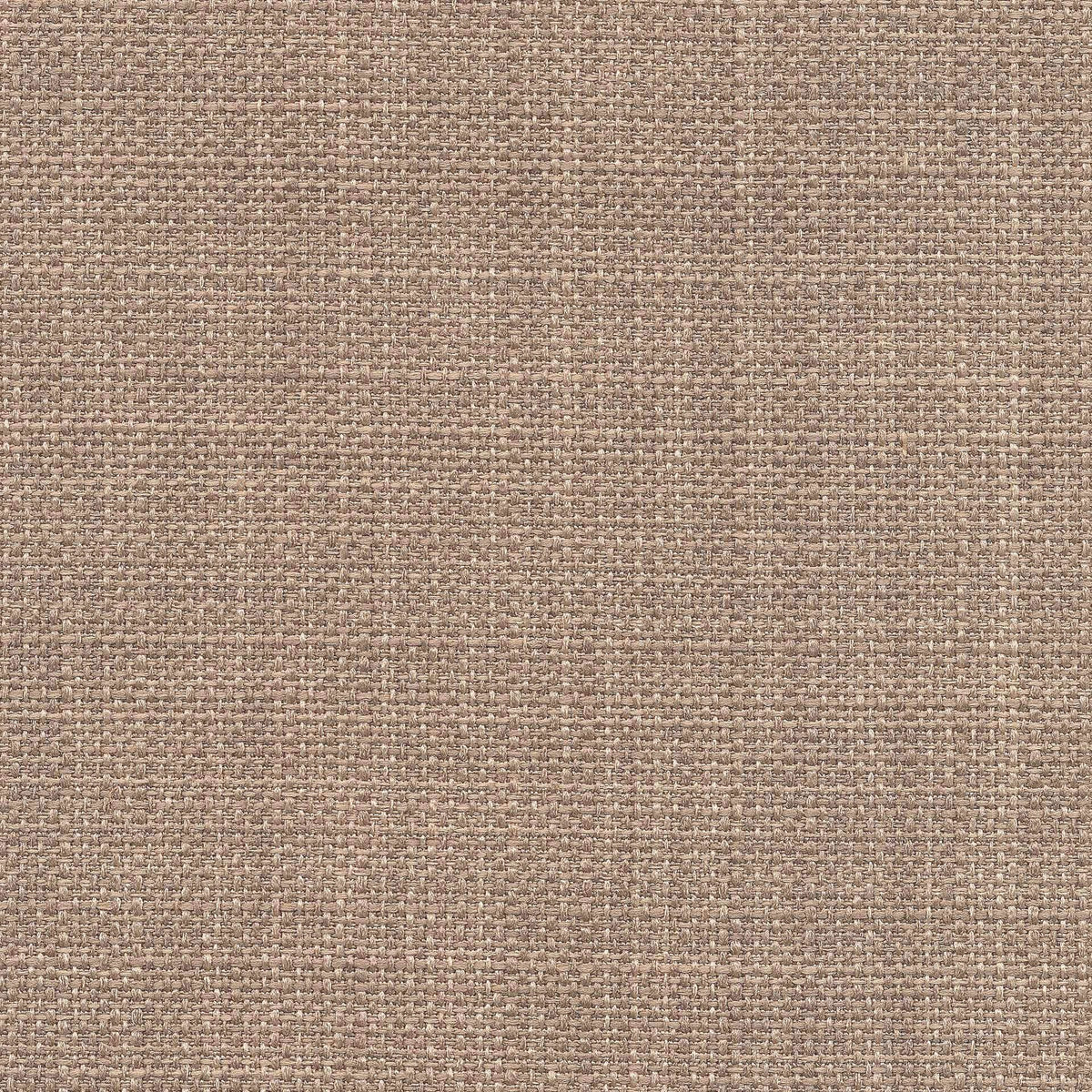 Saint Tropez / Hazelnut