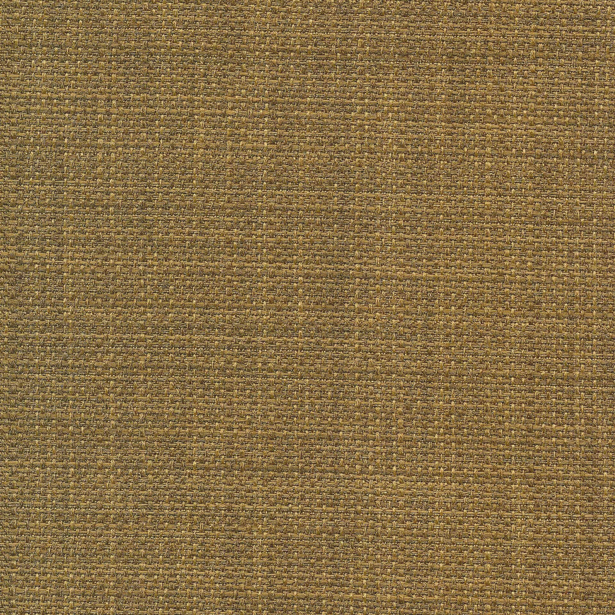 Saint Tropez / Olive