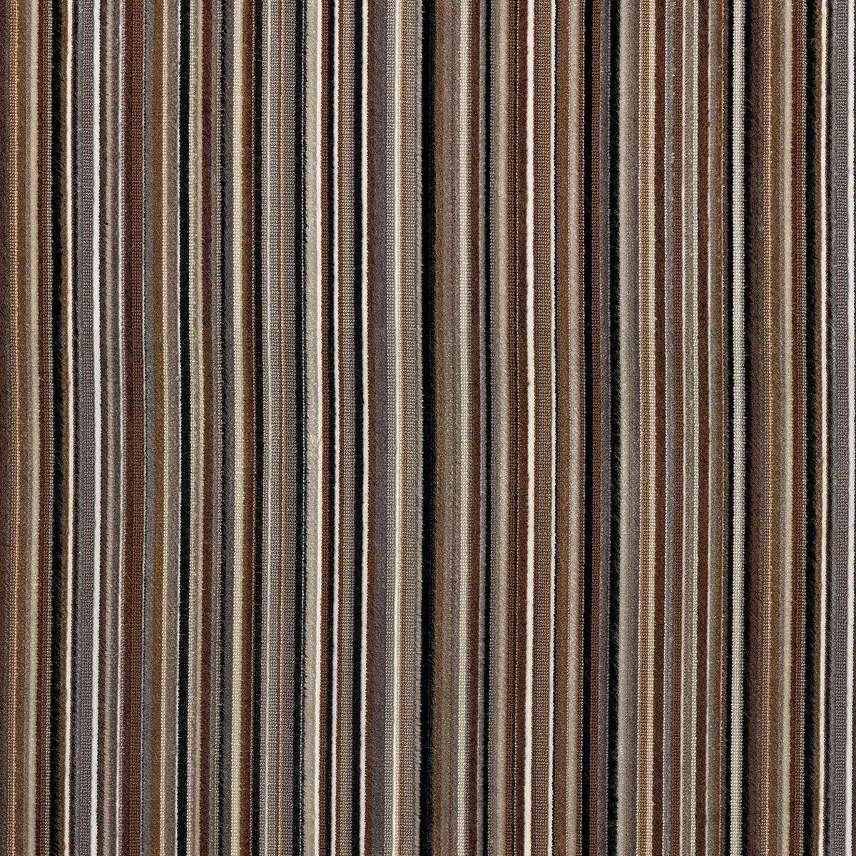 Savoy Stripe / Cappuccino