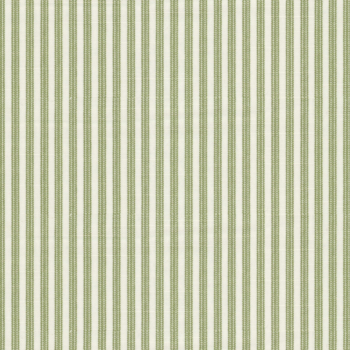 TALKER 1 GRASS
