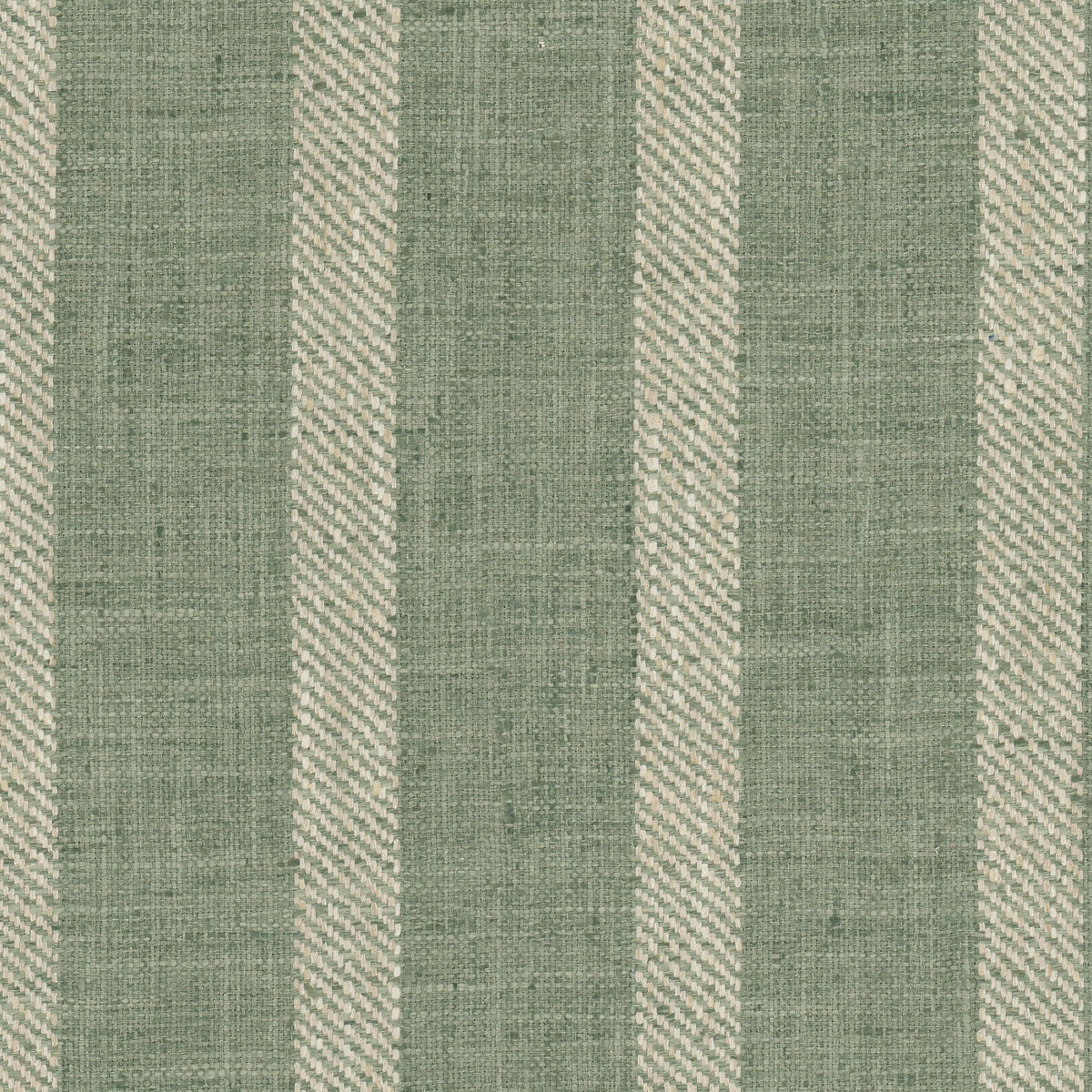 TAUTON 7 ALOE