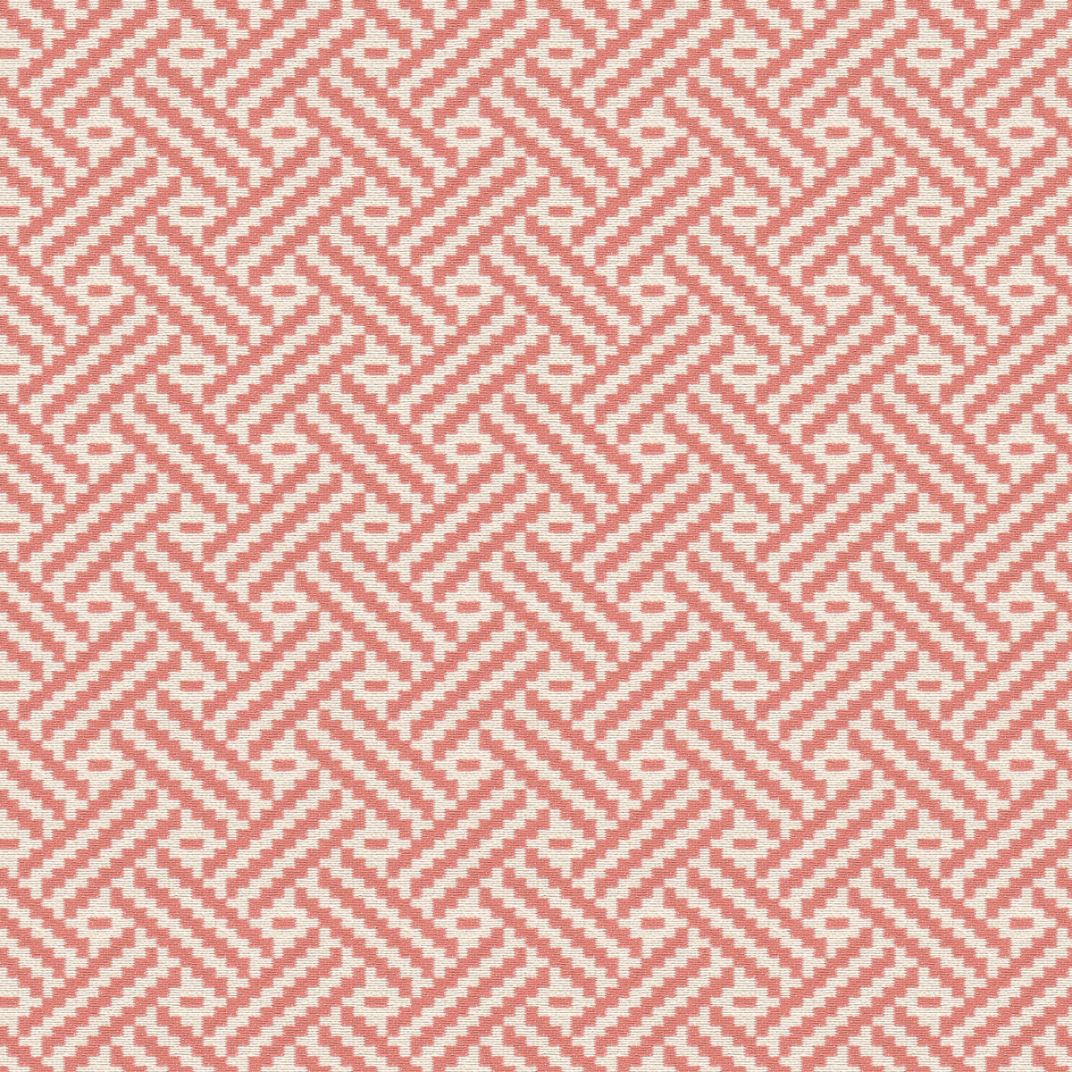 TOBY 1 CORAL