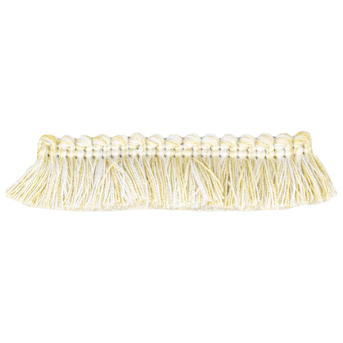 TURILLI 1 CHAMPAGNE